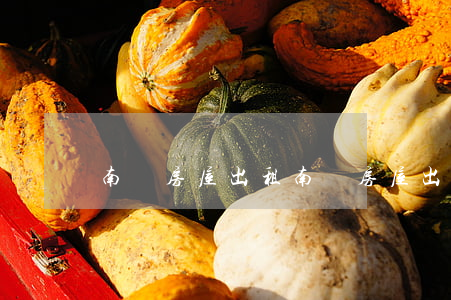 南寧房屋出租(南寧房屋出租中介)