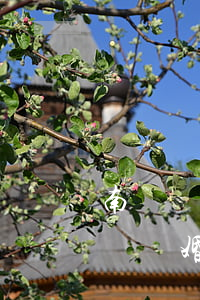 南寧網(wǎng)上預(yù)約離婚(南寧離婚律師咨詢)