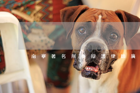 南寧著名刑事辯護律師(廣西十佳名律師名單)