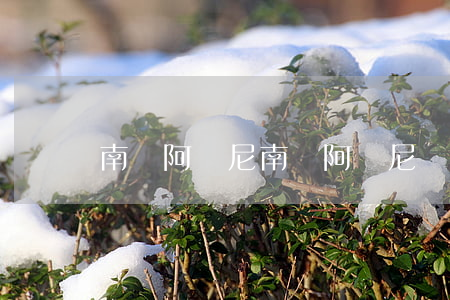 南寧阿瑪尼(南寧阿瑪尼專柜在哪里)