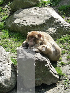 南山區(qū)好的債務(wù)律師事務(wù)所哪家強(qiáng)-南山區(qū)好的債務(wù)律師事務(wù)所哪家強(qiáng)一點(diǎn)