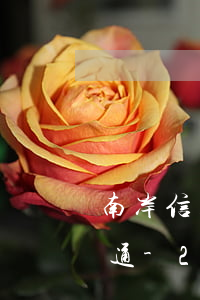 南岸信用卡協(xié)商停息掛賬怎么溝通-2020年信用卡停息掛賬申請(qǐng)辦法