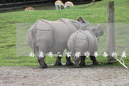 南康有几家律师事务所(康定律师事务所)