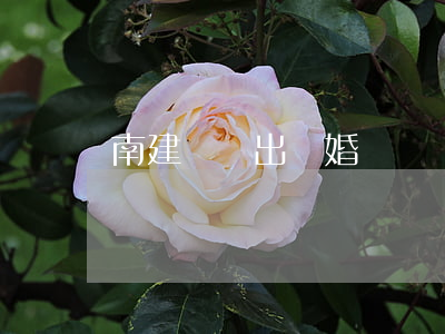 南建龍說出離婚