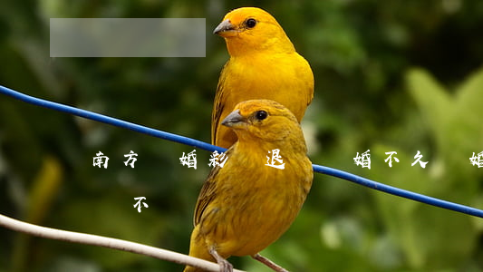 南方離婚彩禮退嗎(結婚不久離婚女方得退彩禮不)