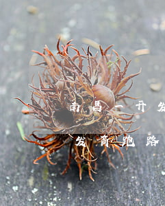 南昌一开发商逾期41户业主索赔-南昌开发商跑路