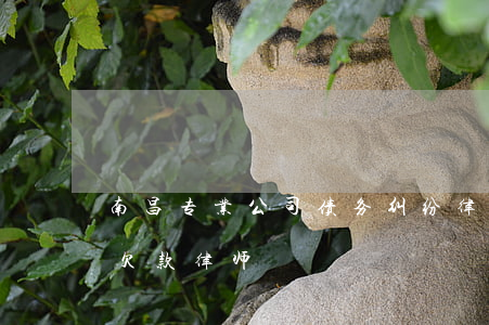 南昌专业公司债务纠纷律师哪个好-南昌县欠款律师