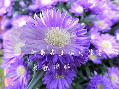 南昌专业公司债务纠纷律师哪家强-南昌县欠款律师