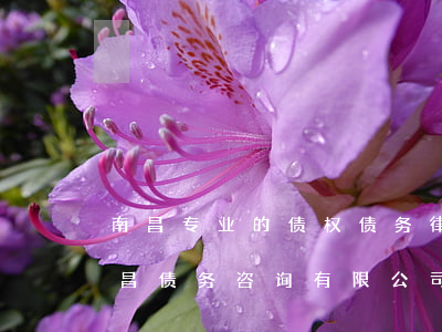 南昌专业的债权债务律师在线咨询-江西南昌债务咨询有限公司