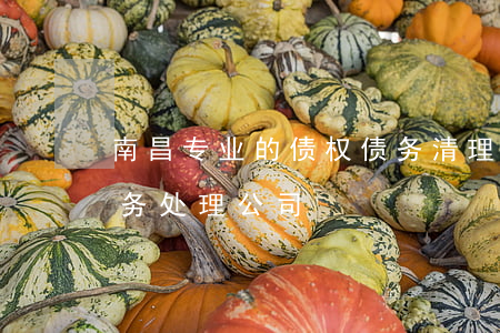 南昌专业的债权债务清理律师费用-南昌债务处理公司