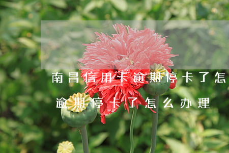 南昌信用卡逾期停卡了怎么办-南昌信用卡逾期停卡了怎么办理
