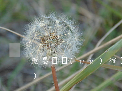 南昌債務(wù)律師哪家強(qiáng)