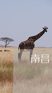 南昌債務律師事務所-南昌債務律師事務所