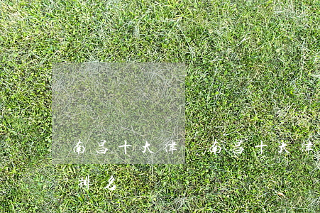 南昌十大律師(南昌十大律師事務(wù)所排名)