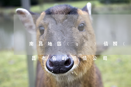 南昌地區(qū)債務(wù)糾紛律師 南昌有名的追債公司