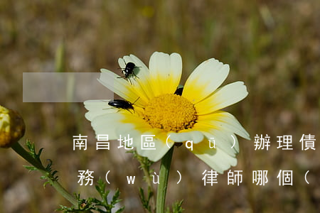 南昌地區(qū)辦理債權(quán)債務(wù)律師哪個(gè)好-南昌債務(wù)處理公司