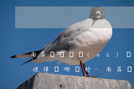 南昌專辦債務(wù)風(fēng)險代理律師哪個好-南昌債權(quán)債務(wù)律師