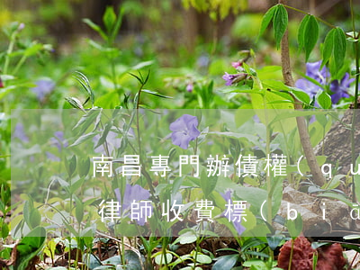 南昌專門辦債權(quán)債務(wù)律師收費標(biāo)準(zhǔn)-南昌債務(wù)處理公司