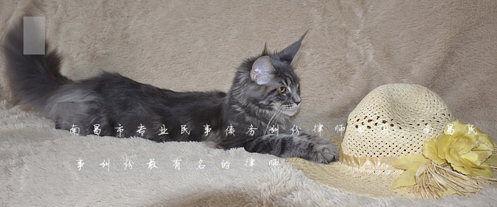 南昌市专业民事债务纠纷律师费用-南昌民事纠纷最有名的律师