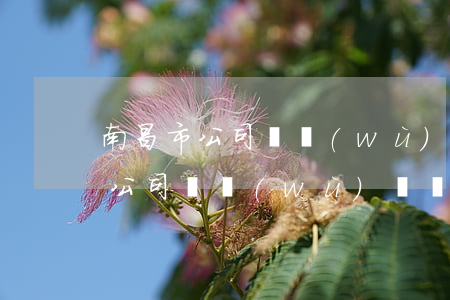 南昌市公司債務(wù)糾紛律師怎么委托(公司債務(wù)糾紛專業(yè)律師)