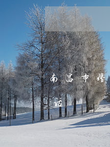 南昌市婚姻家庭律师服务平台(南昌市律协电话)