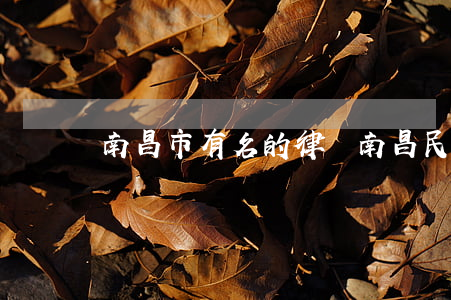 南昌市有名的律師(南昌民事糾紛最有名的律師)
