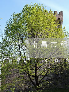 南昌市租賃合同律師怎么委托(南昌法律咨詢(xún)律師在線)