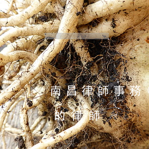 南昌律師事務(wù)所排名榜(南昌有名氣的律師)