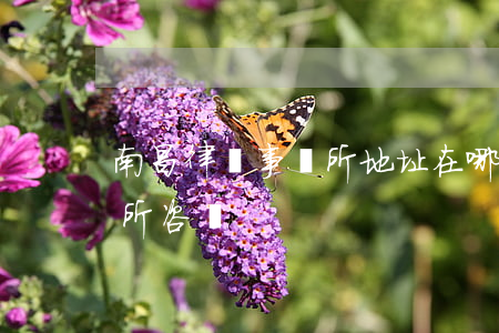 南昌律師事務所地址在哪里(南昌縣律師事務所咨詢)