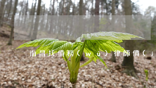 南昌找債務(wù)律師價(jià)格