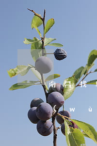 南昌找專業(yè)債權(quán)債務(wù)律師怎么委托-南昌找專業(yè)債權(quán)債務(wù)律師怎么委托的