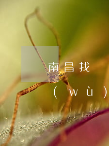 南昌找專業(yè)債權(quán)債務(wù)律師收費(fèi)標(biāo)準(zhǔn)-江西南昌債務(wù)咨詢有限公司