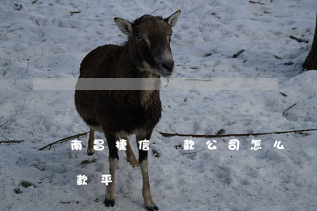 南昌捷信貸款公司怎么樣(捷信公司是什么貸款平臺?)
