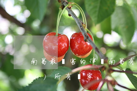 南昌最厲害的律師(南昌有名的律師事務(wù)所有幾家)