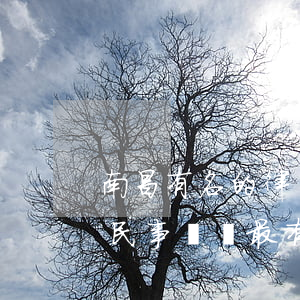 南昌有名的律師事務(wù)所有幾家(南昌民事糾紛最有名的律師)