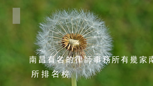 南昌有名的律師事務所有幾家(南昌律師事務所排名榜)