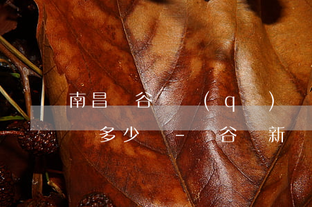 南昌紅谷灘區(qū)專業(yè)債務律師多少錢-紅谷灘新區(qū)欠款律師