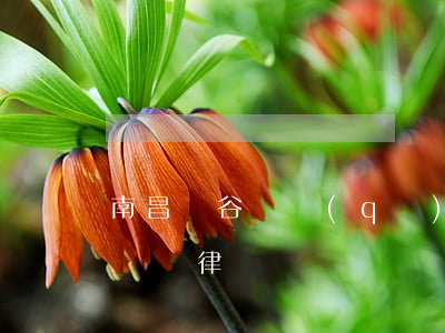 南昌紅谷灘區(qū)找公司債務(wù)糾紛律師