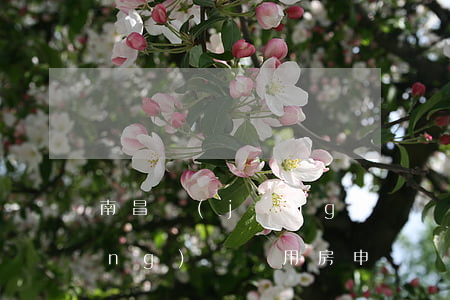 南昌經(jīng)濟適用房，南昌經(jīng)濟適用房申請條件2022
