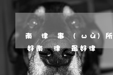 南橋律師事務(wù)所哪個(gè)比較好(南橋律師最好律師)