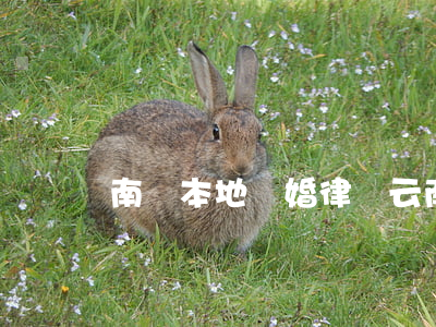 南澗本地離婚律師(云南南澗縣離婚名單)