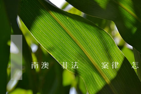 南澳縣非法經營案律師怎么收費