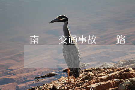 南許莊交通事故(張莊路車禍)