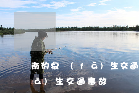 南豹泉發(fā)生交通事故(南豹泉發(fā)生交通事故)