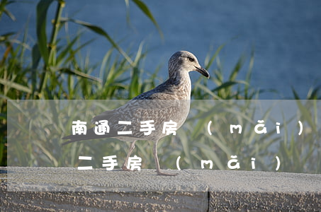 南通二手房買(mǎi)賣(mài)(南通二手房買(mǎi)賣(mài)流程詳解)