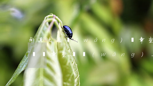 南通交通網(wǎng)違章查詢(南通市汽車違章查詢網(wǎng)上查詢)