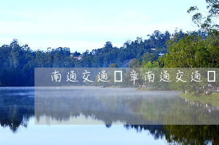 南通交通違章(南通交通違章處理)