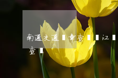 南通交通違章查詢網(江蘇省南通市車輛違章查詢)