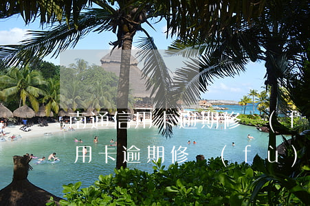 南通信用卡逾期修復(fù)哪家好(南通信用卡逾期修復(fù)哪家好)
