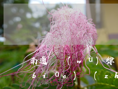 南通債務(wù)律師收費(fèi)標(biāo)準(zhǔn)
